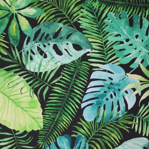 monstera na czarnym2.JPG
