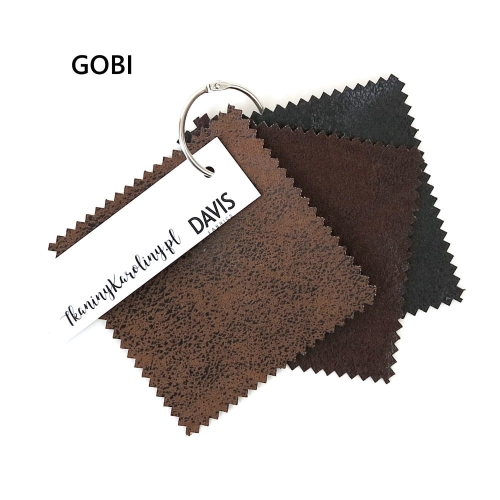 Gobi.JPG