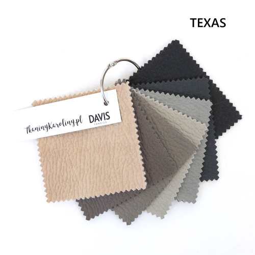 Texas.JPG