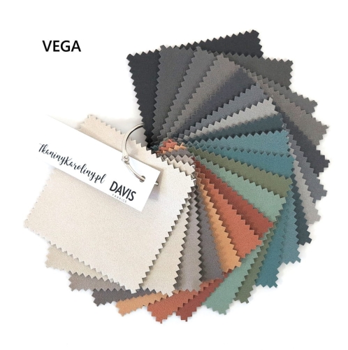 Vega.JPG