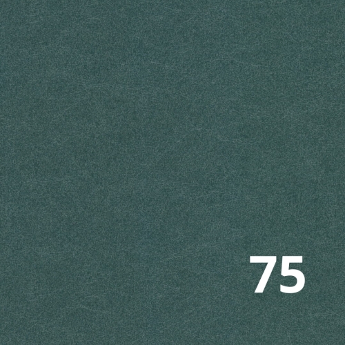 Castel 75 Davis.jpg