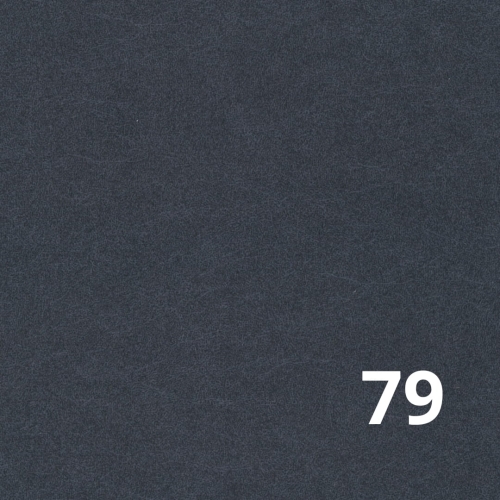 Castel 79 Davis.jpg
