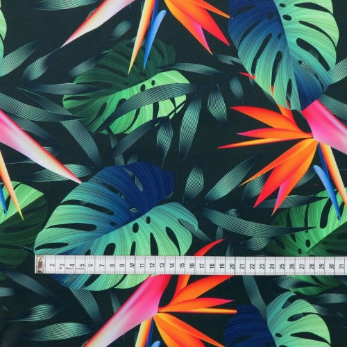 WELUR TAPICERSKI Strelicja i monstera