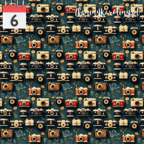 133.jpg