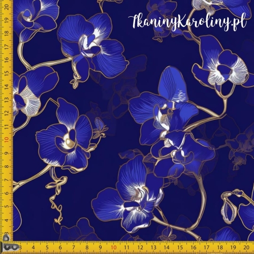 Orchidea niebieska.jpg