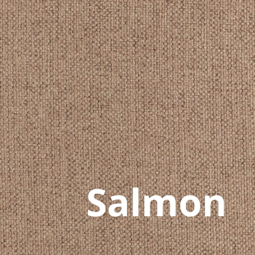 Seattle - Elastron - Salmon.jpg