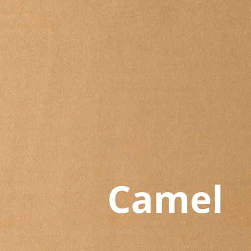 Paris - Elastron - Camel.jpg