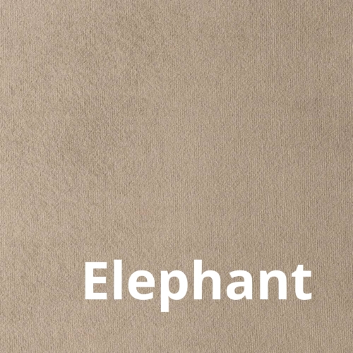 Paris - Elastron - Elephant.jpg