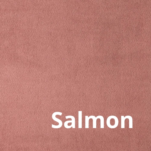 Paris - Elastron - Salmon.jpg