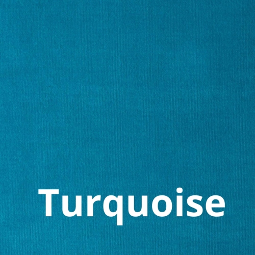 Paris - Elastron - Turquoise.jpg