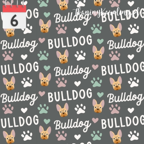 Buldogi i napisy.jpg