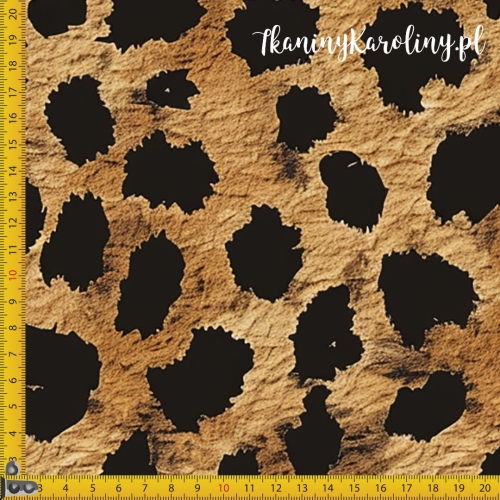 Panterka brązowa 6.jpg