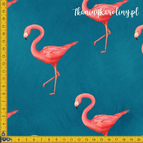 Flamingi.jpg