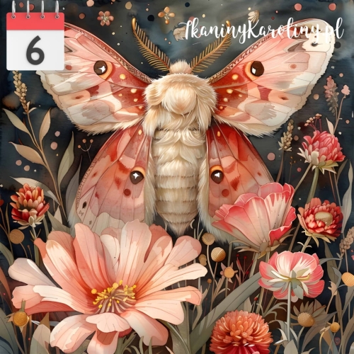 Nocny motyl 332.jpg