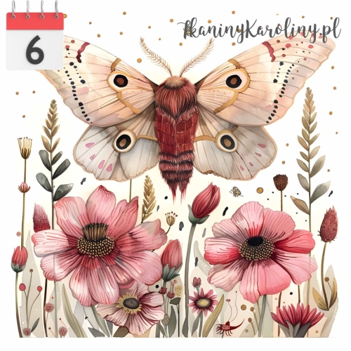 Nocny motyl 340.jpg