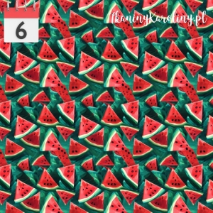 SOFTSHELL WODOODPORNY Arbuzy malowane [6]
