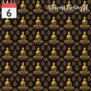 SOFTSHELL WODOODPORNY Budda [6]