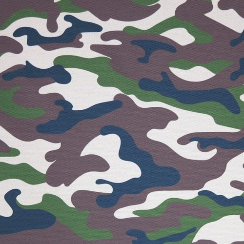moro ziel-braz2.JPG