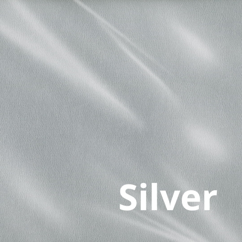 Omega - Silver.jpg