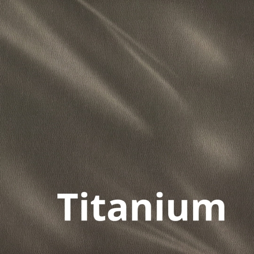 Omega - Titanium.jpg