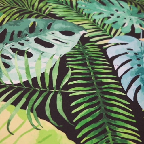 monstera na czarnym1.JPG