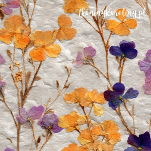 WELUR TAPICERSKI DRUKOWANY Kwiaty suszone 21 - drobniutkie żółte z fioletowymi [6-8]