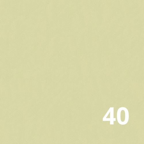 40 - żółty waniliowy.jpg