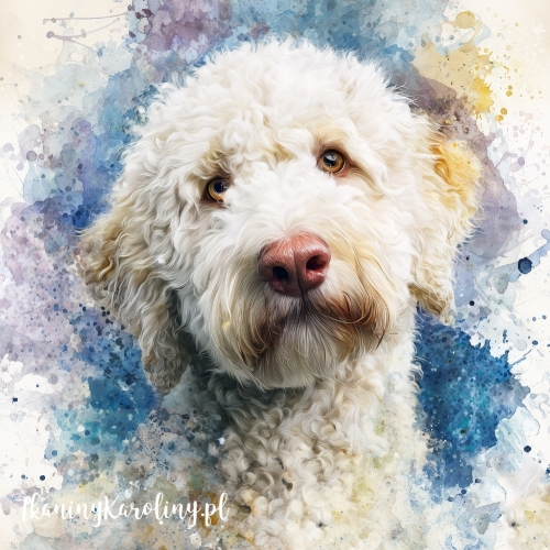 Panel wodoodporny Lagotto romagnolo 3 malowany