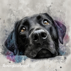 Panel welurowy Labrador czarny malowany [6-8]