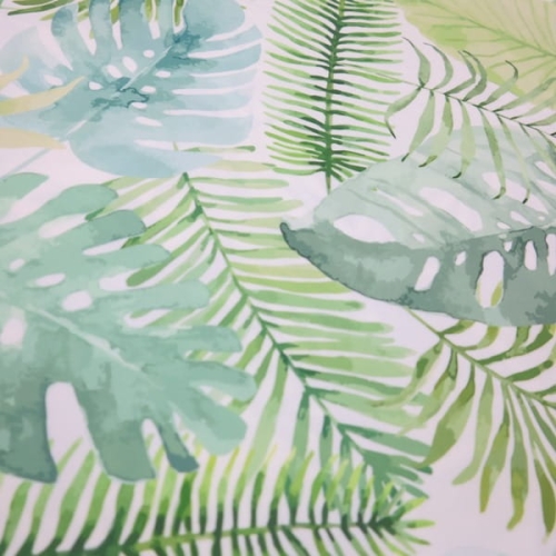 welur monstera1.JPG