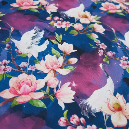 zuraw magnolia ciemne tlo1.JPG