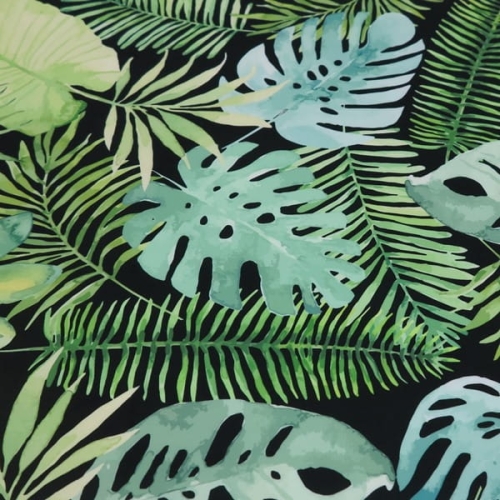 monstera na czarnym1.JPG