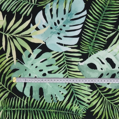 monstera na czarnym2.JPG